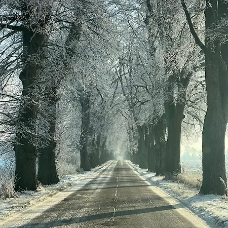 Młyn Sea&golf W Kołczewie * Kołczewo