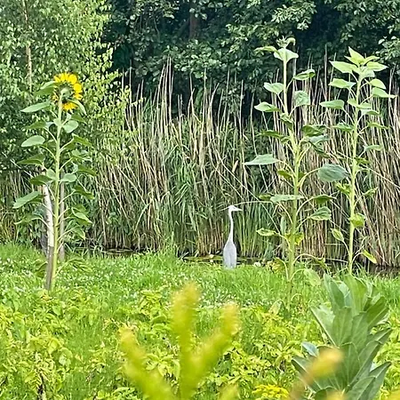 Villa Mlyn Sea&golf W Kolczewie *