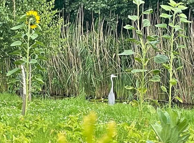 Villa Mlyn Sea&golf W Kolczewie *