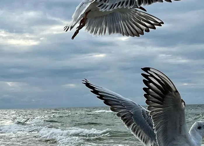 Mlyn Sea&golf W Kolczewie