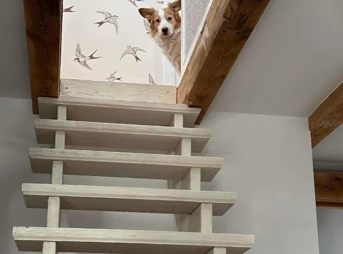 Mlyn Sea&golf W Kolczewie Villa *